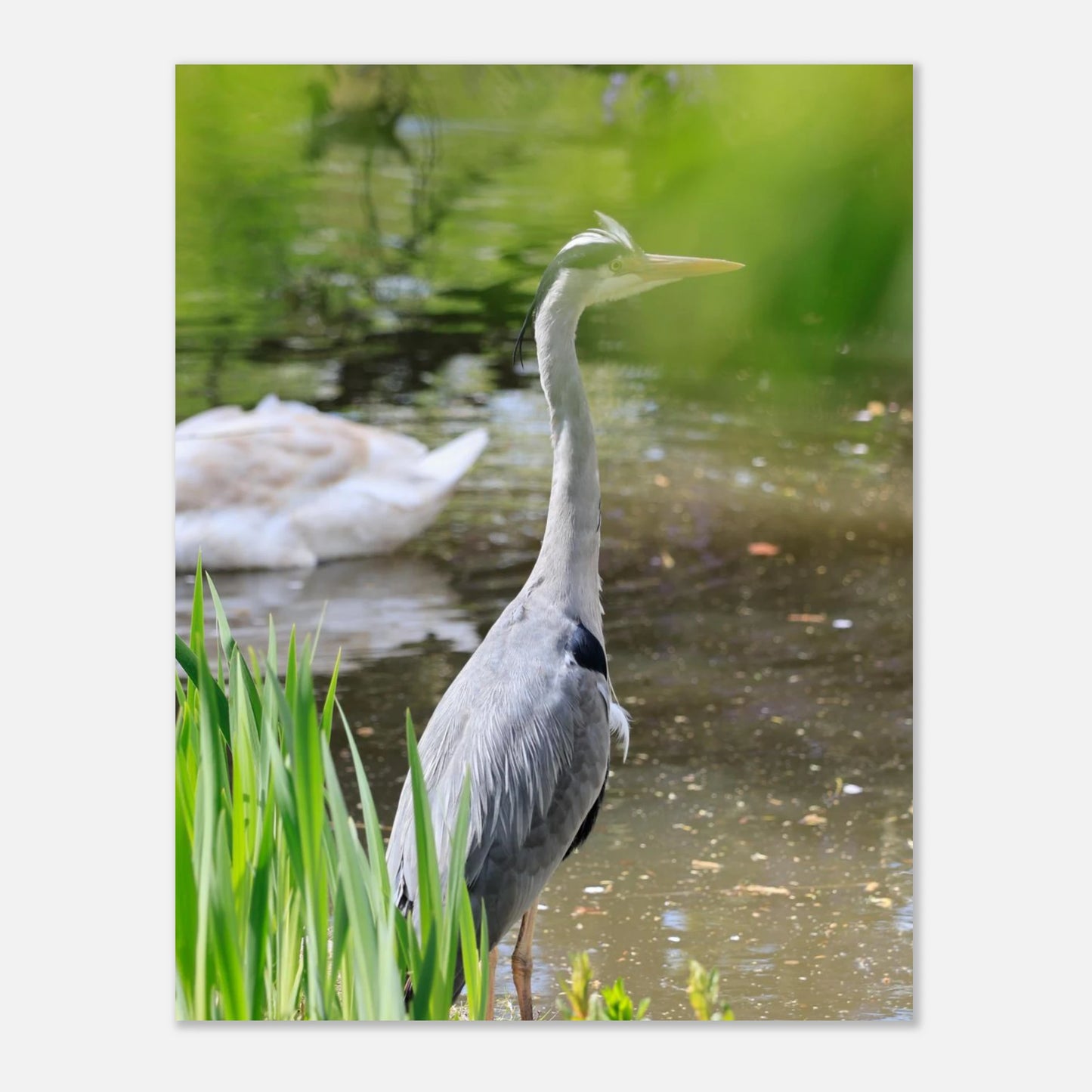 76f6335b-f2ef-40cc-a7ca-3e9a4cd06852