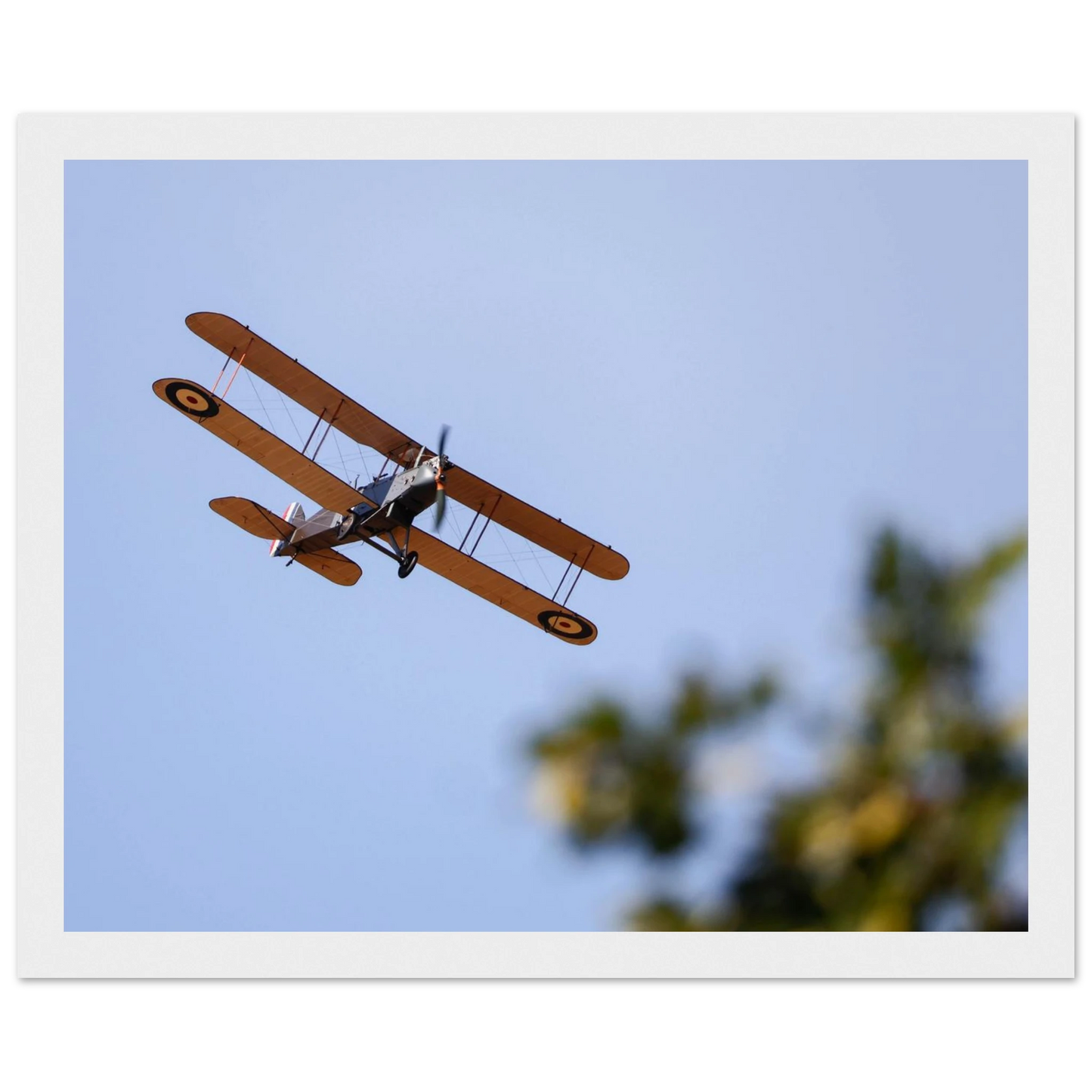 0585e7e7-d511-420e-abfc-084fb53c6c15