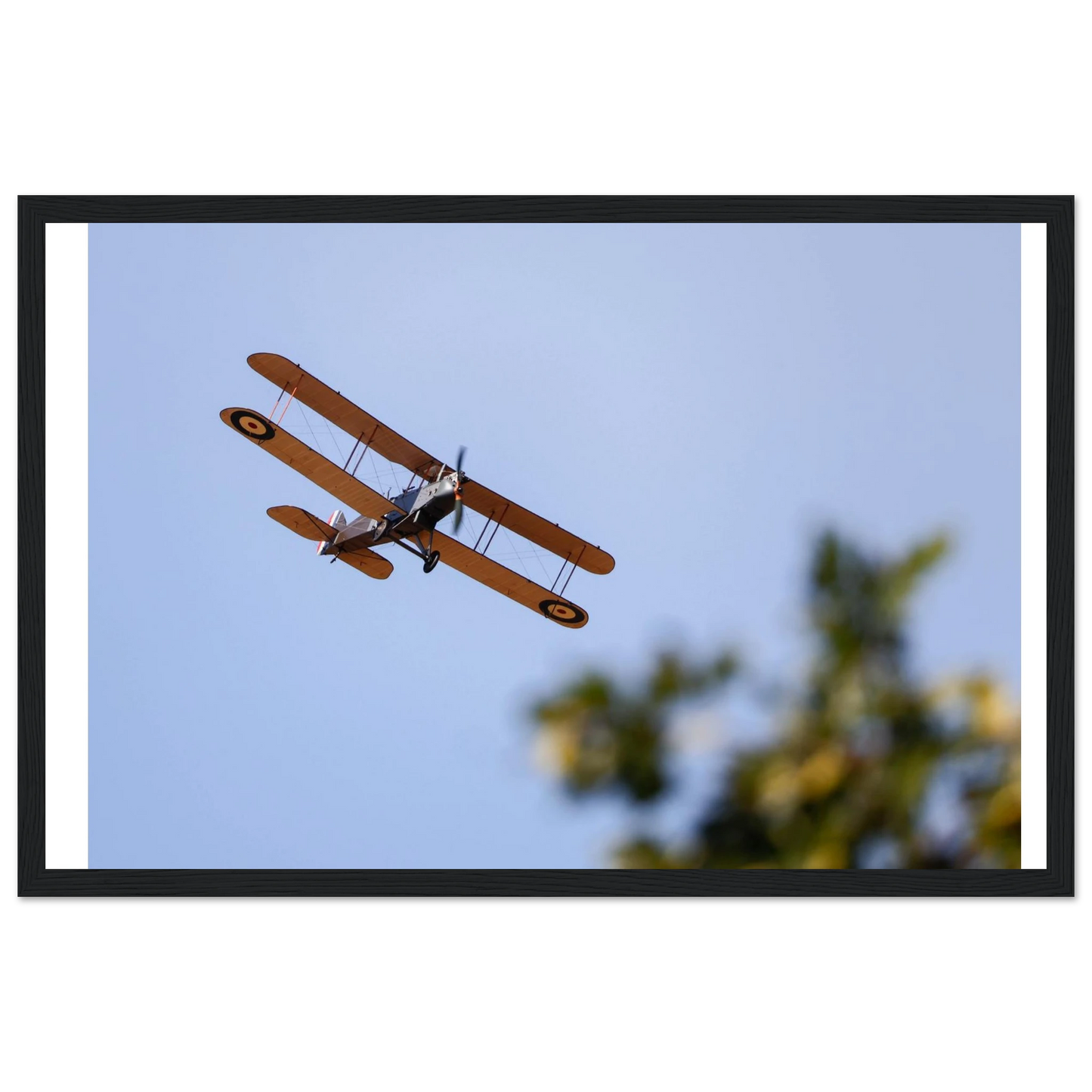 06afa0ce-6a65-4cb1-88b6-f38fe47de442