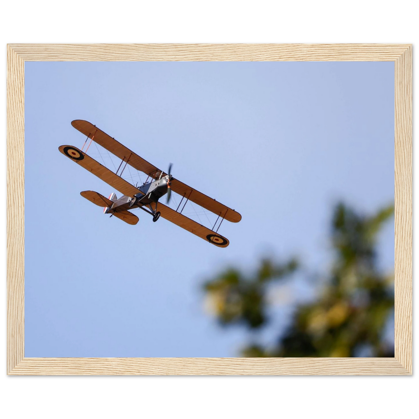 2be4c33b-da67-4368-9c8a-291995ee070f