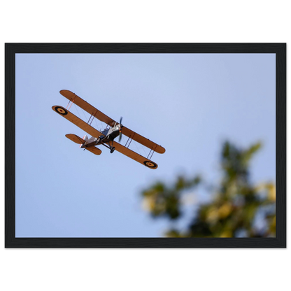 355e96e8-68c6-44b0-ad58-7dbabe06ba90