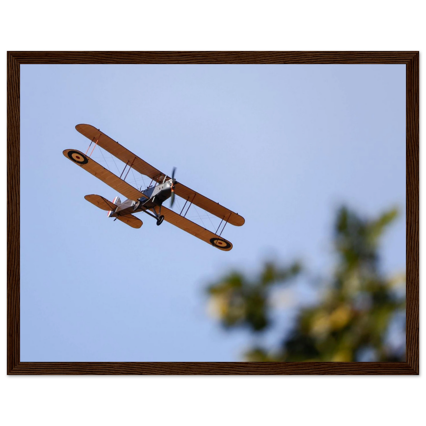 3e7bb16c-6fd3-4b5a-b4be-2f48cd6342ea