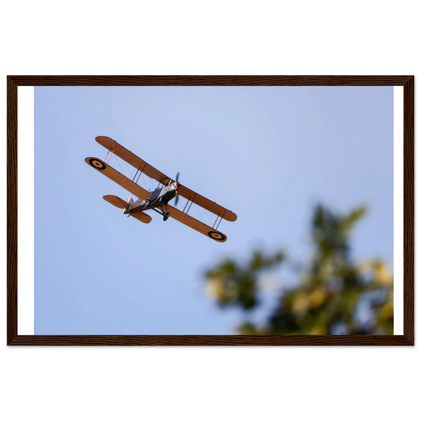 40e0cdab-4186-4d1a-9c9e-27cd7254da0c