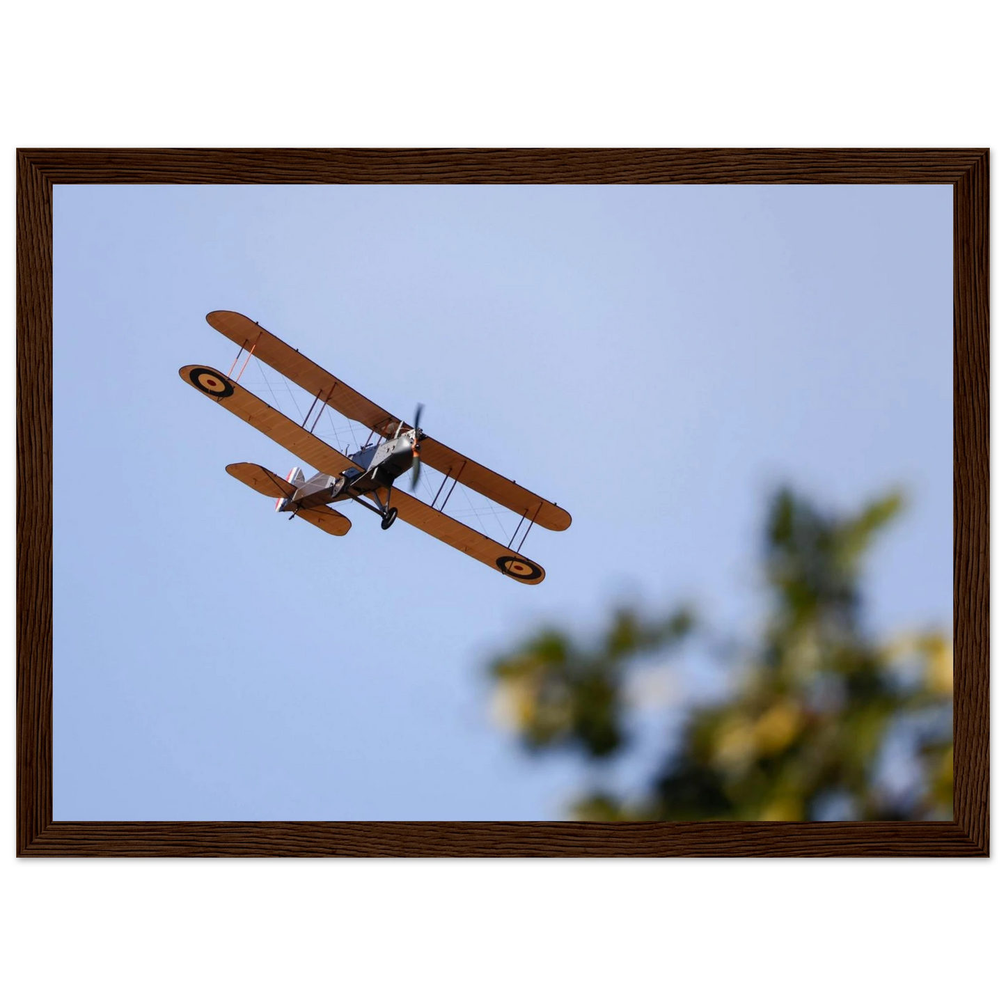 6b60f19b-920b-4d3c-acc9-447df03eb50f