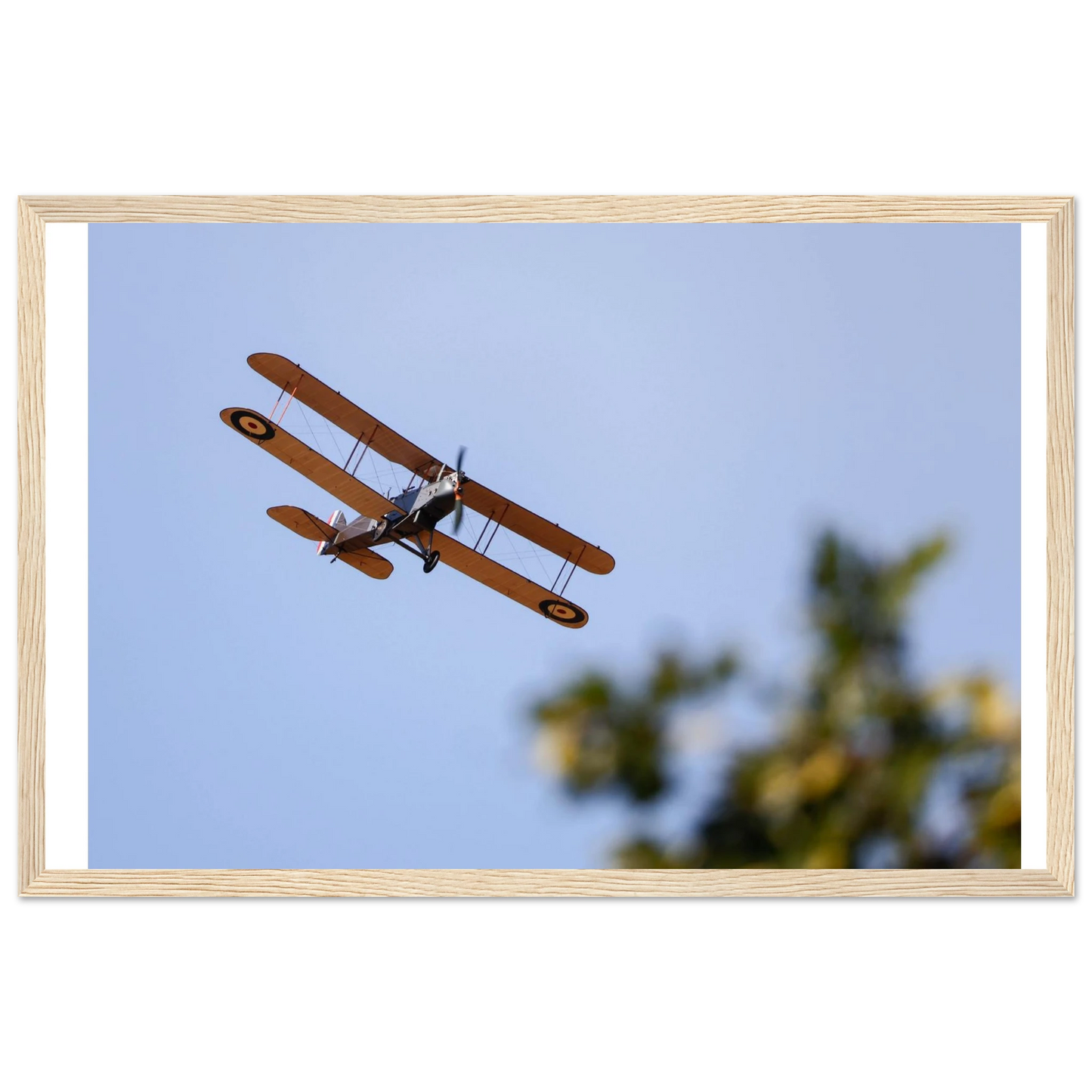 83c1c057-3b0b-44a6-a257-74a6578b97c4