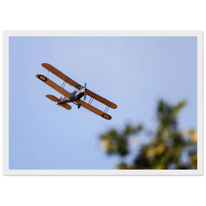 8bbbfd76-ace8-46e0-836b-46943eccdd54