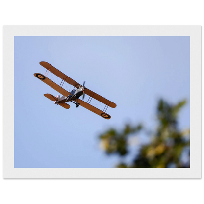 94e52311-4b7c-481c-8b64-4541073410eb