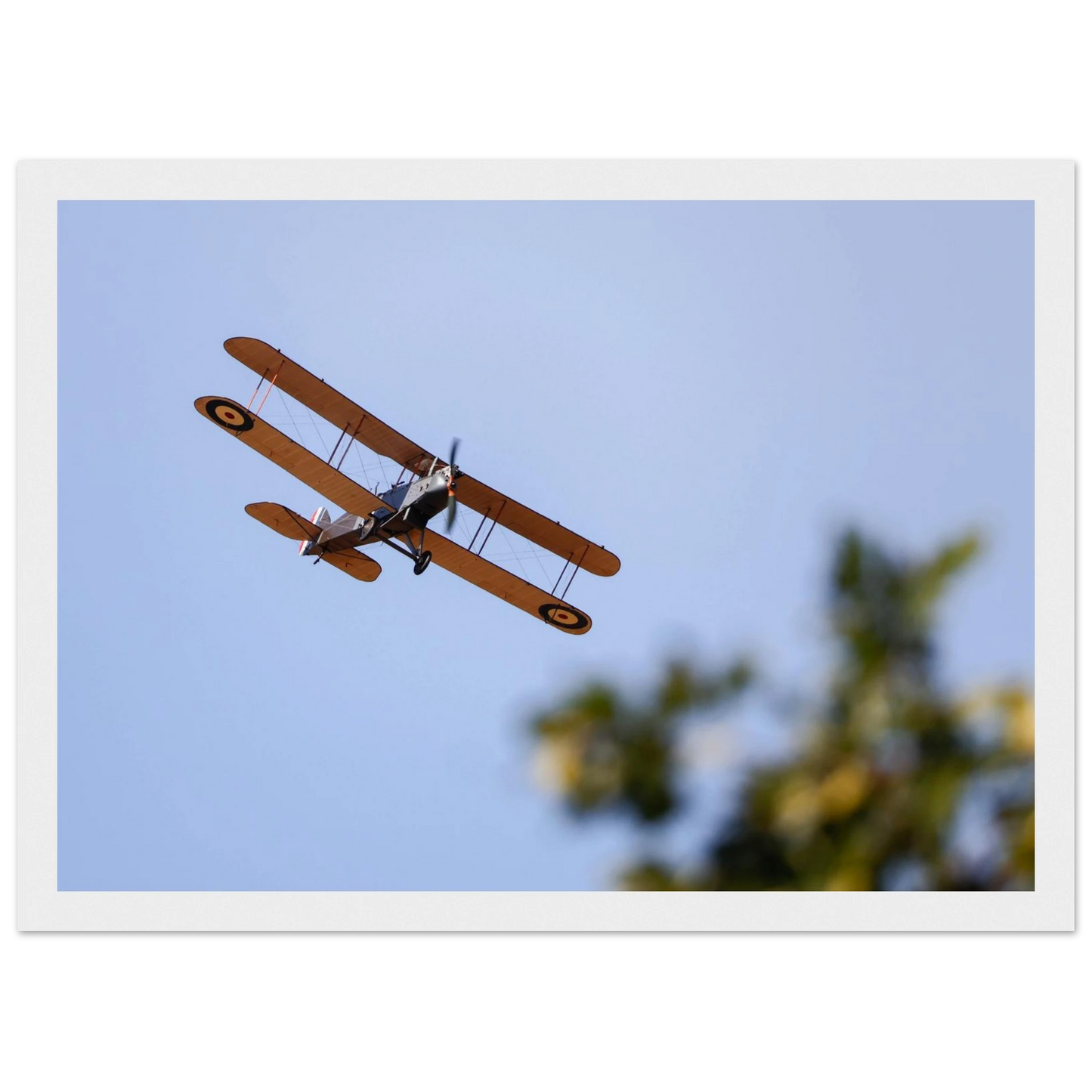 9763951d-7c43-43a2-9778-86949ad1e99a