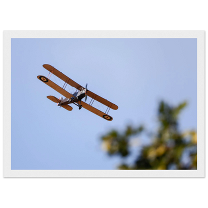 9763951d-7c43-43a2-9778-86949ad1e99a