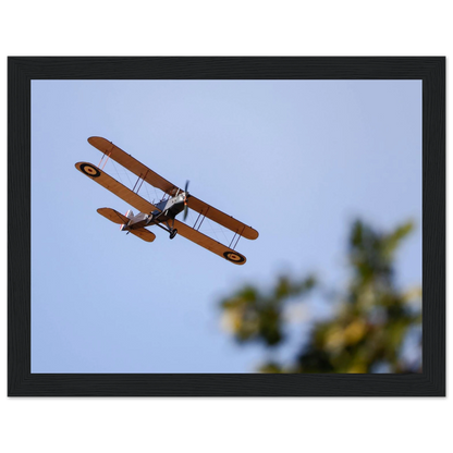 a41cfd0d-203d-4d5e-873e-0b755c4aa692