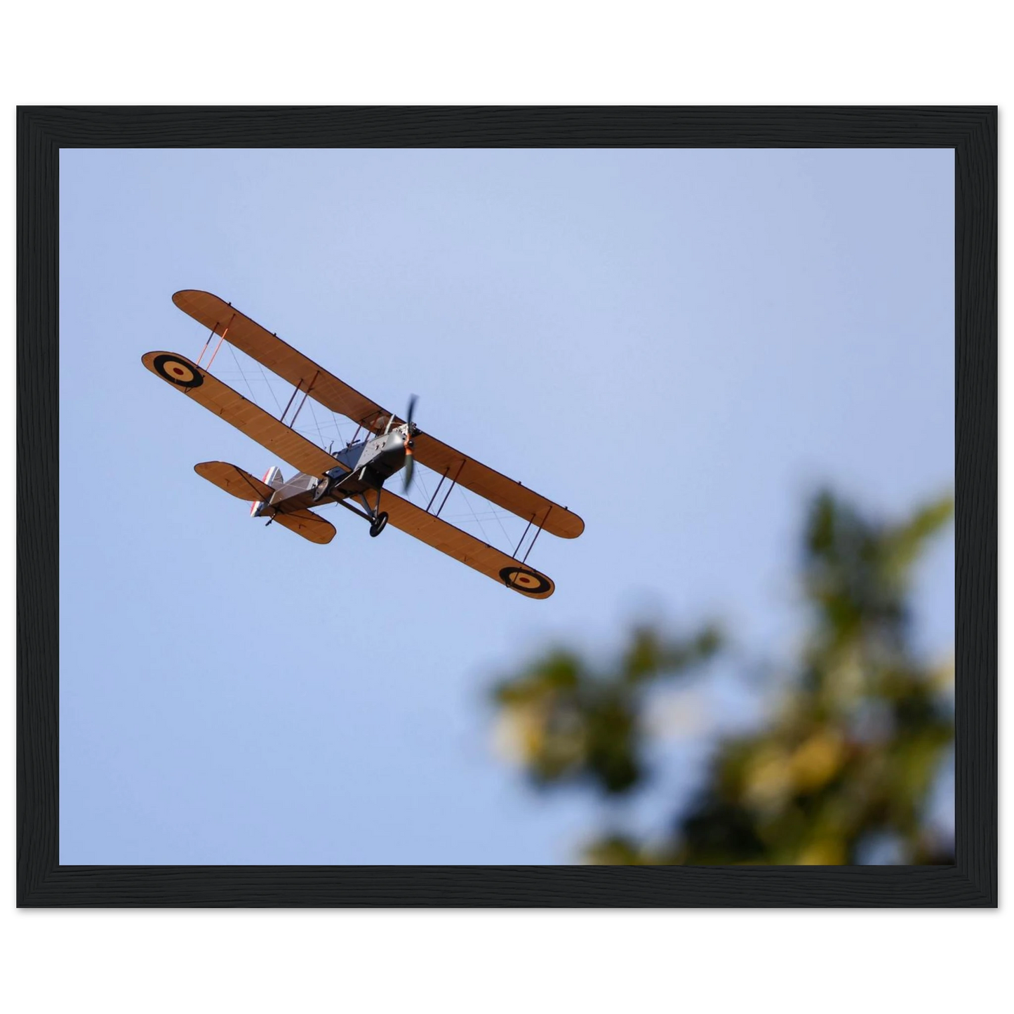 a8c4bd96-7d2e-4266-a732-9c1722acf9a3