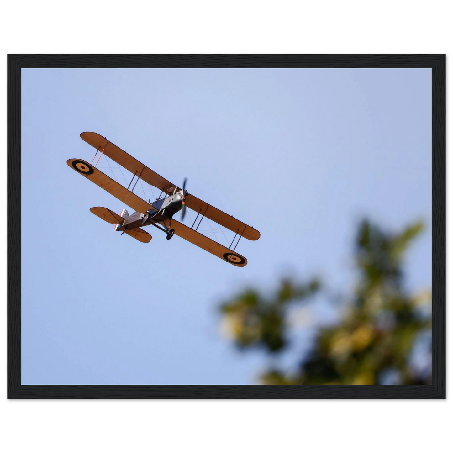 af96db6d-a321-4e34-8fba-b15bf45b6140