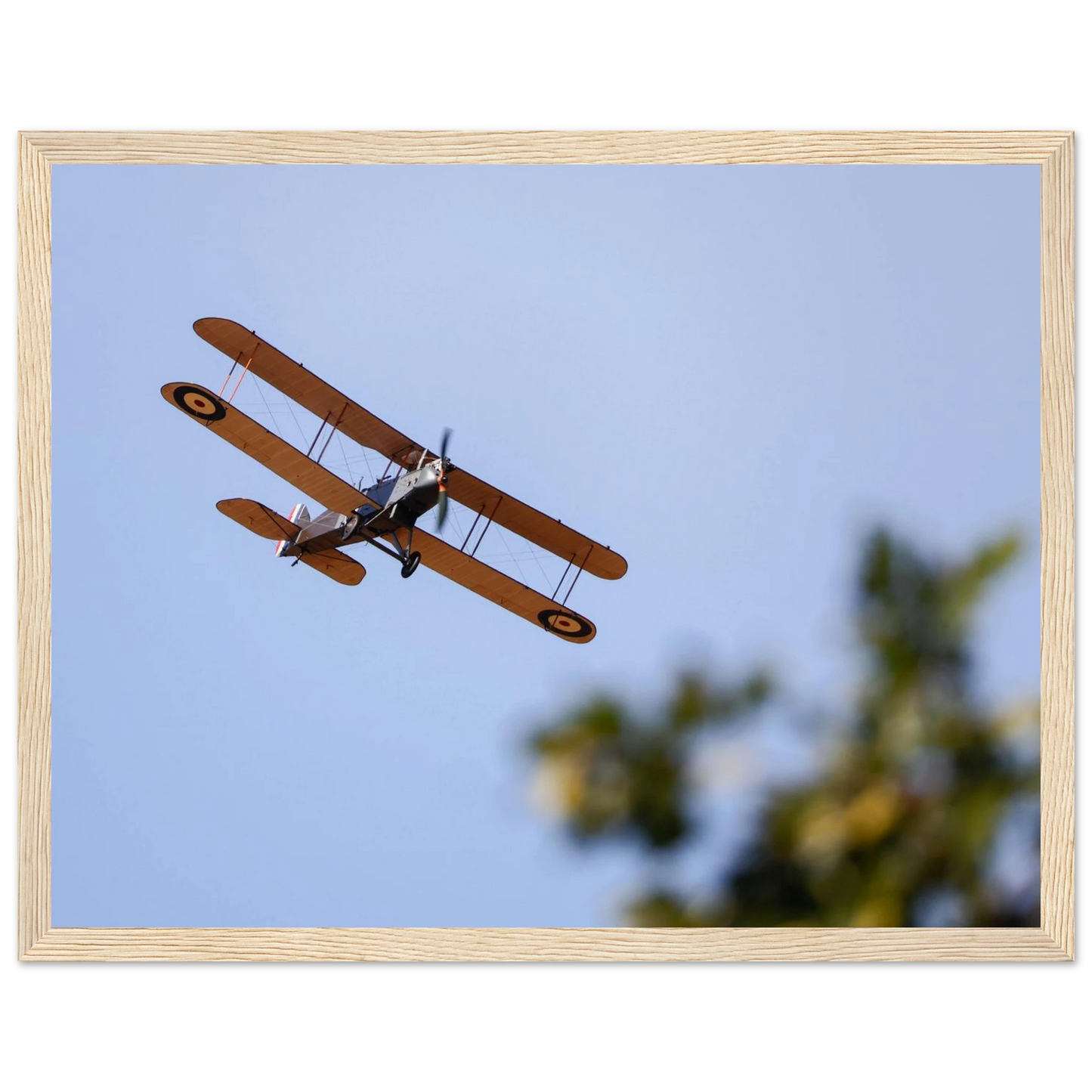 c6bf600e-863b-4f63-900b-05301b8db9e1