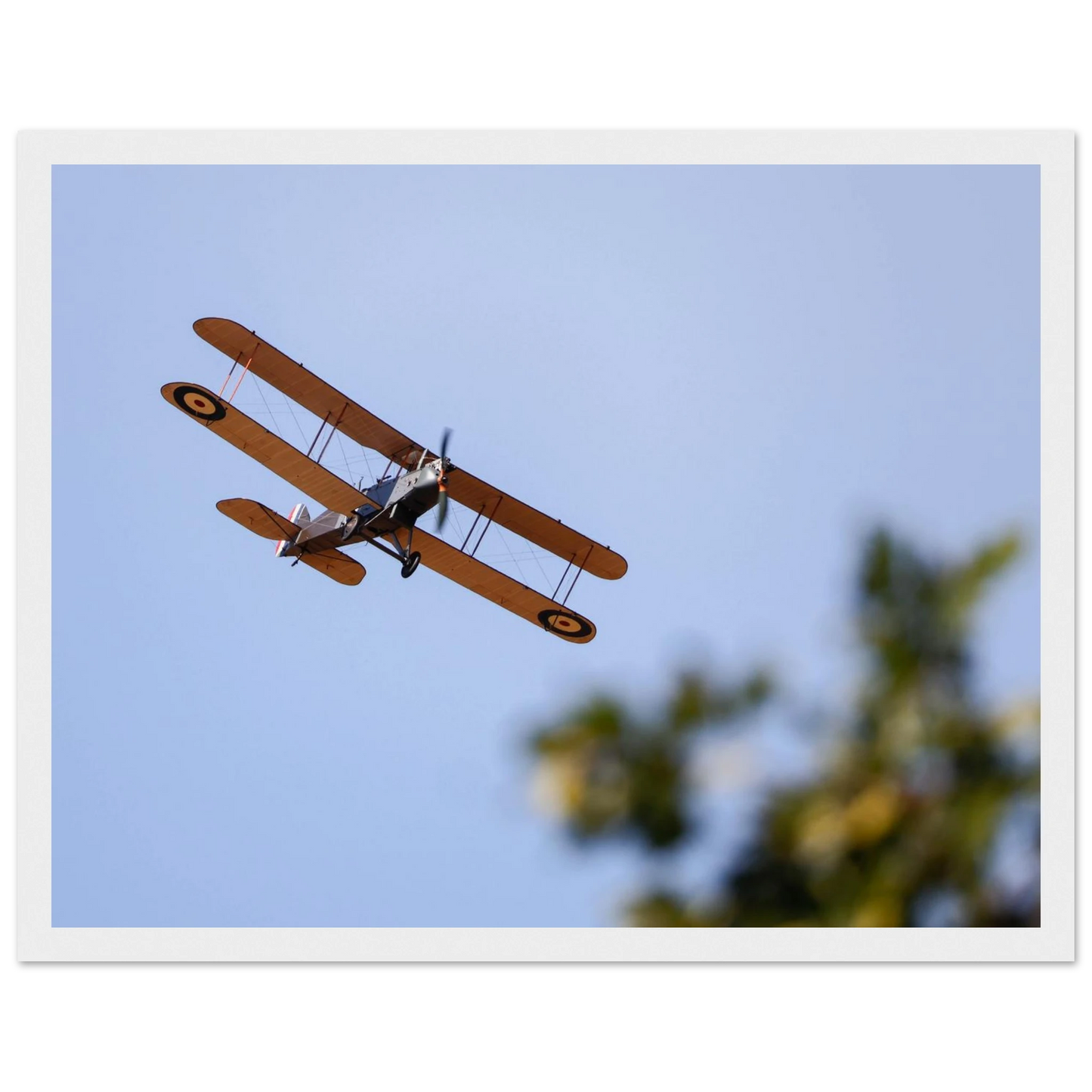 c79f63c9-a679-4fcf-a780-a2543b55d64d