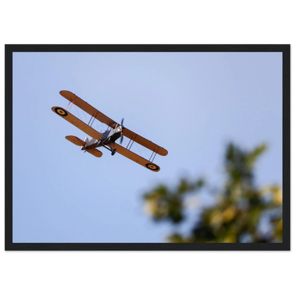 cca67df4-ec39-4691-8e91-00d04ffc03b8