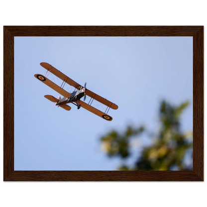 f52a82b4-79c2-4d3c-b003-6d3f393b829c