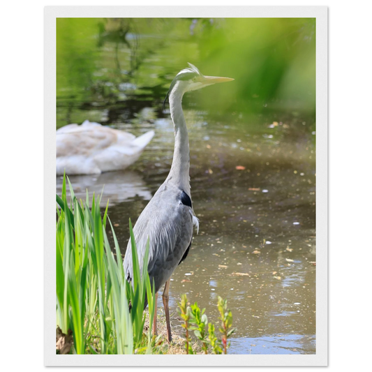 f201a418-5918-46ac-855d-bc5f48d6af2a