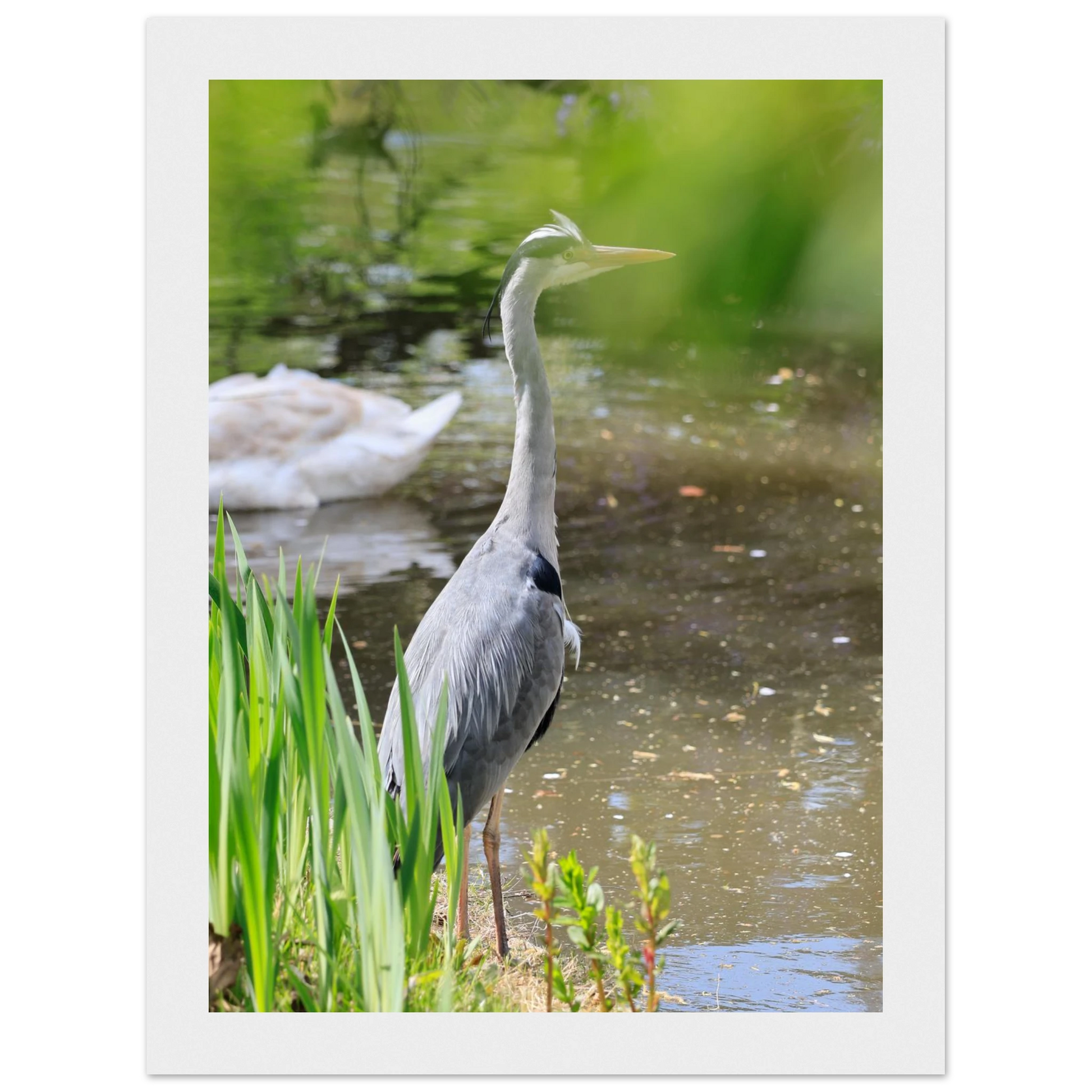 af658418-7bbb-4a92-bec8-312850c20d77