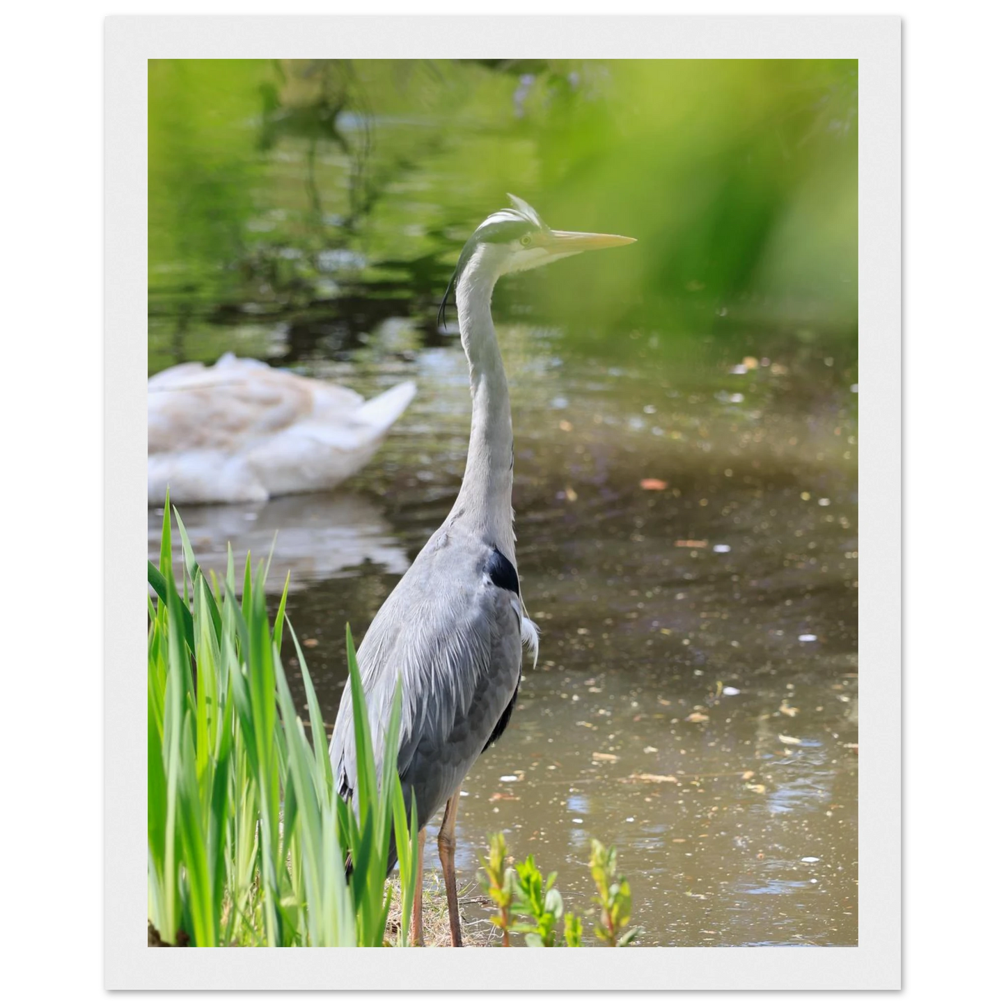 cfbcdccb-ccf7-41a3-9624-4121d070c196