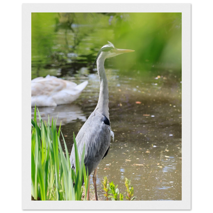 cfbcdccb-ccf7-41a3-9624-4121d070c196