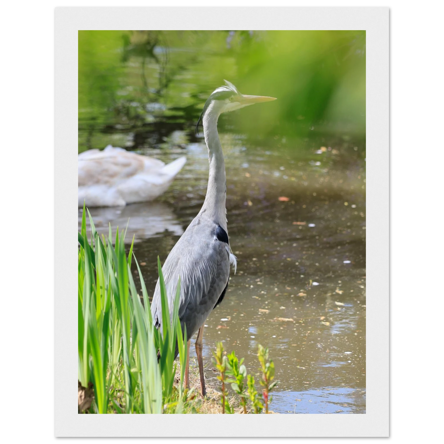 b40cd47e-c84f-4b96-b82e-c4cd1b34cd2c