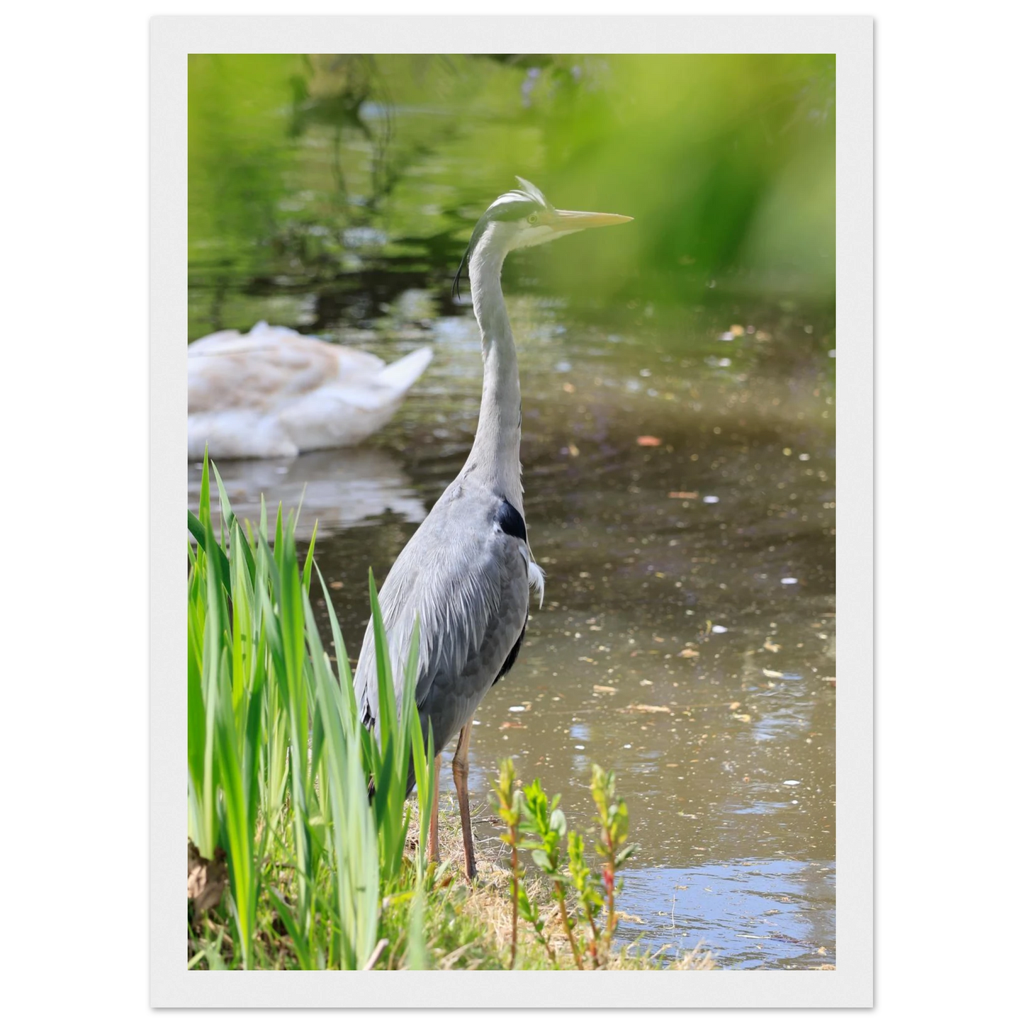 6e093a88-016f-495e-b6e0-8748fe9a5c2d