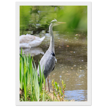 6e093a88-016f-495e-b6e0-8748fe9a5c2d