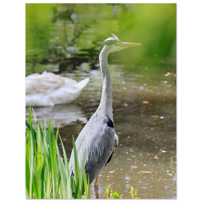 1b82338a-df94-47fe-bd9b-d7aec0bdbb87