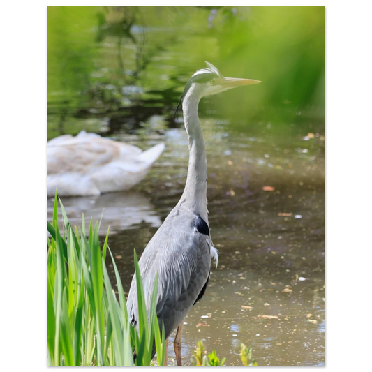 1b82338a-df94-47fe-bd9b-d7aec0bdbb87