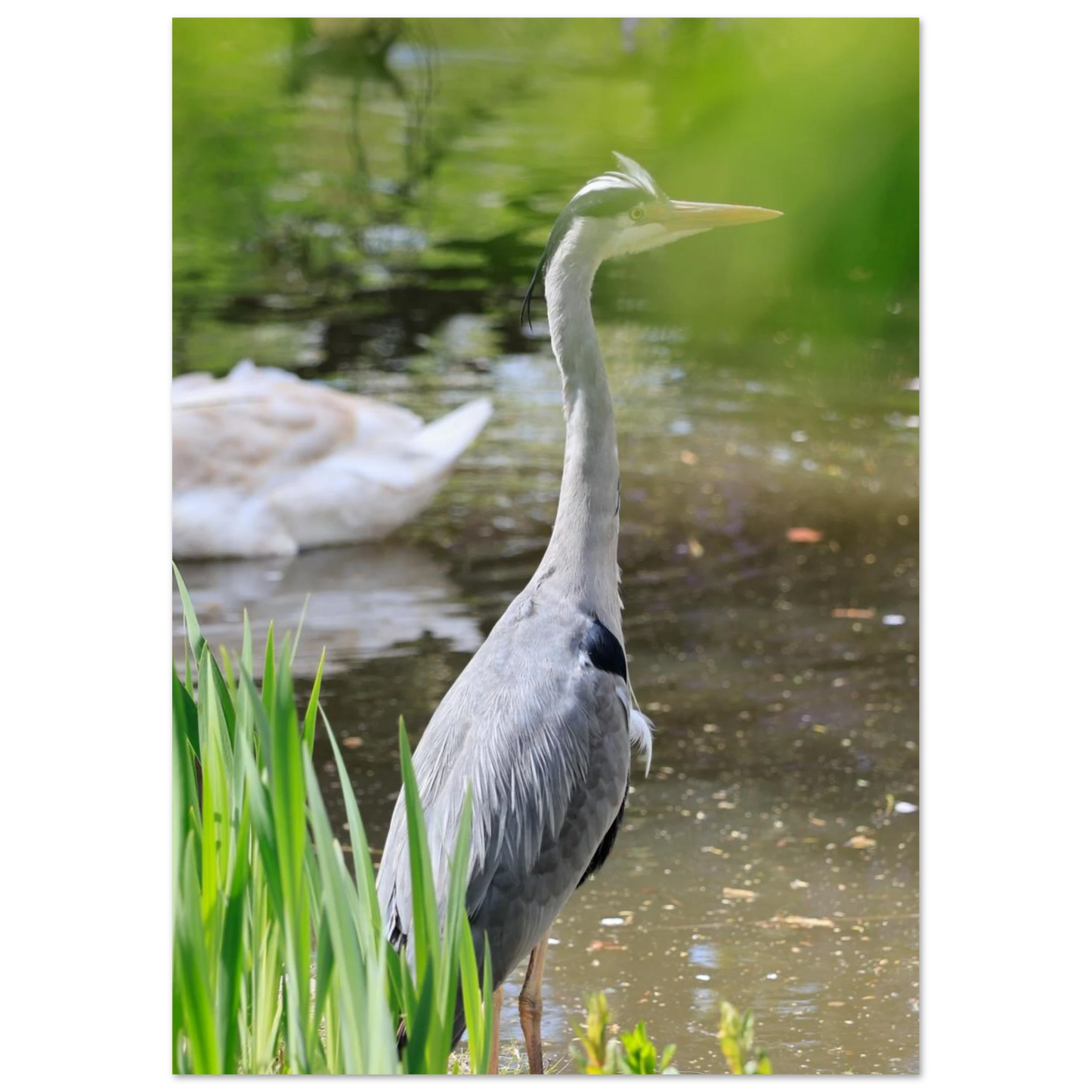 65147039-6a46-4c8d-b86f-8f7d281115a9