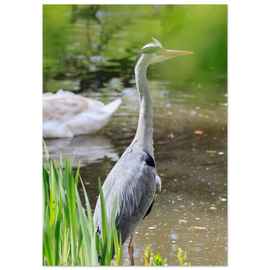 65147039-6a46-4c8d-b86f-8f7d281115a9