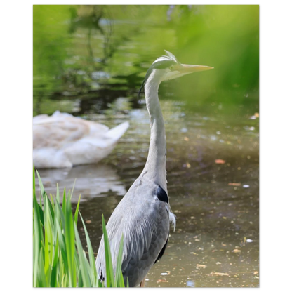 f5a6ef55-b7d3-4080-aa56-8412f2065d78