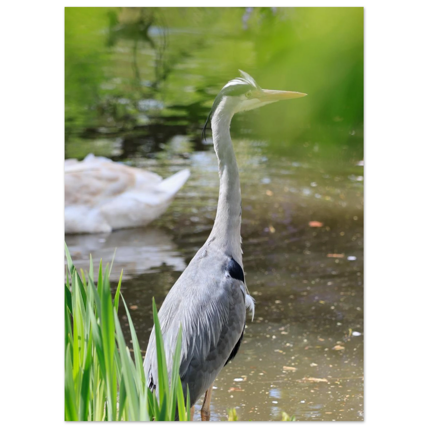 7b784fad-f933-45f4-b932-70589ff34ce8