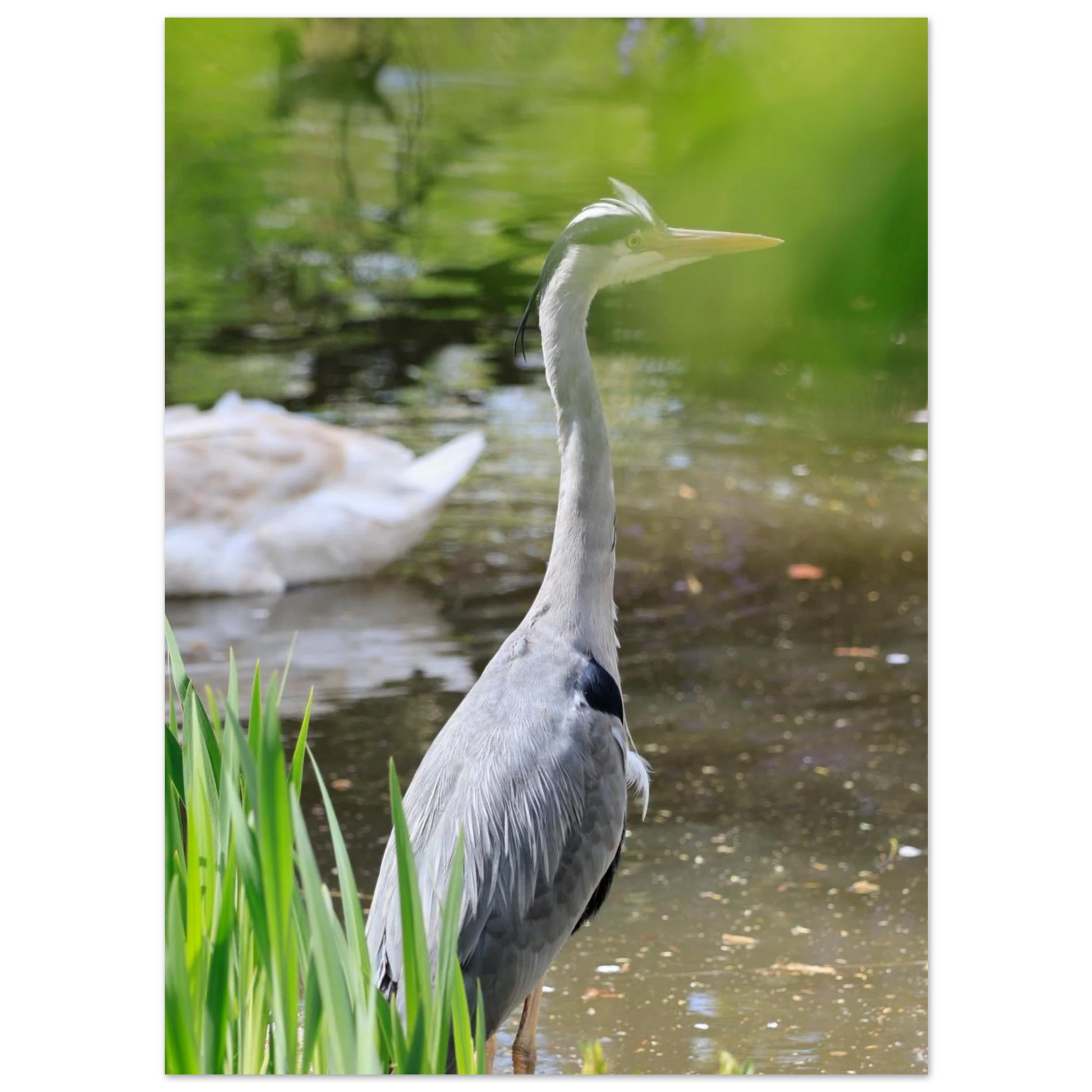 7b784fad-f933-45f4-b932-70589ff34ce8