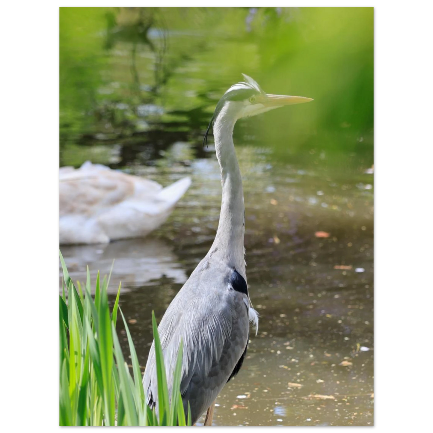 dc5a3b79-762a-42b8-bcde-a8821fe27297