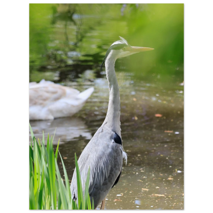 dc5a3b79-762a-42b8-bcde-a8821fe27297