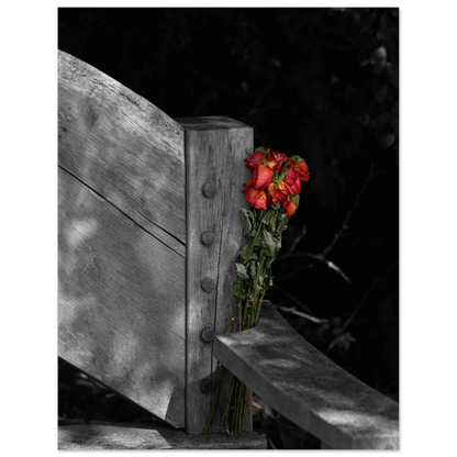 6d107118-57a8-41a1-b1b9-bd495a8e9c57