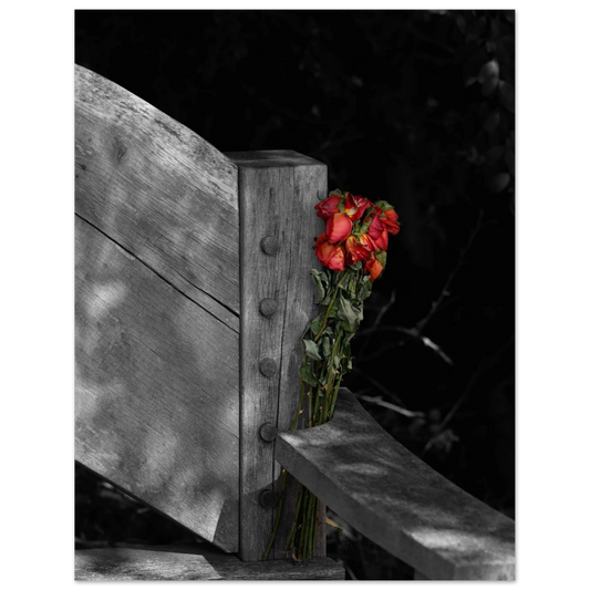 6d107118-57a8-41a1-b1b9-bd495a8e9c57