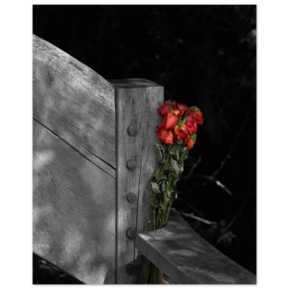 b35cf9cc-d16f-4c19-9b3b-52aac42e21f7