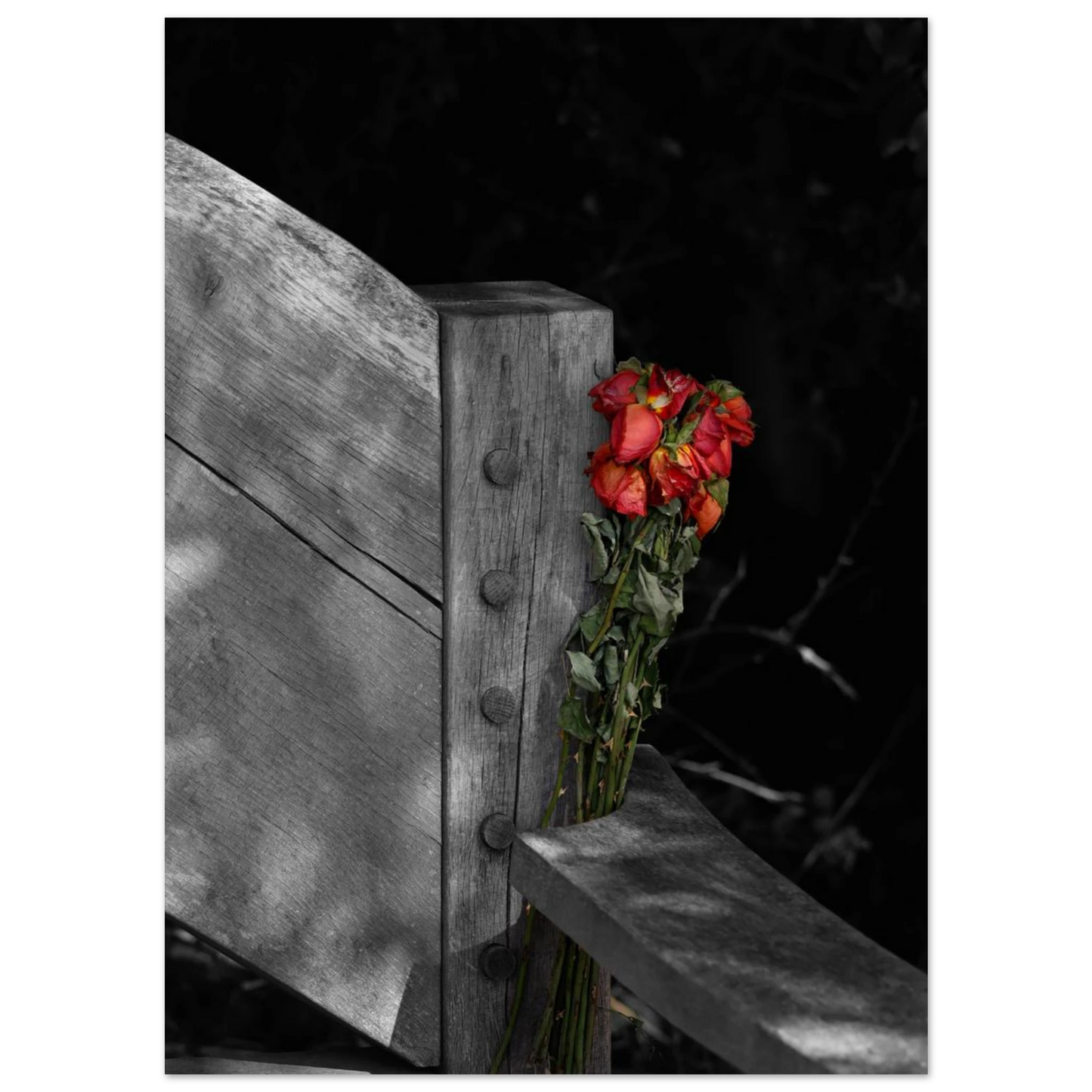 be339411-d47c-4657-af08-e69592856e80