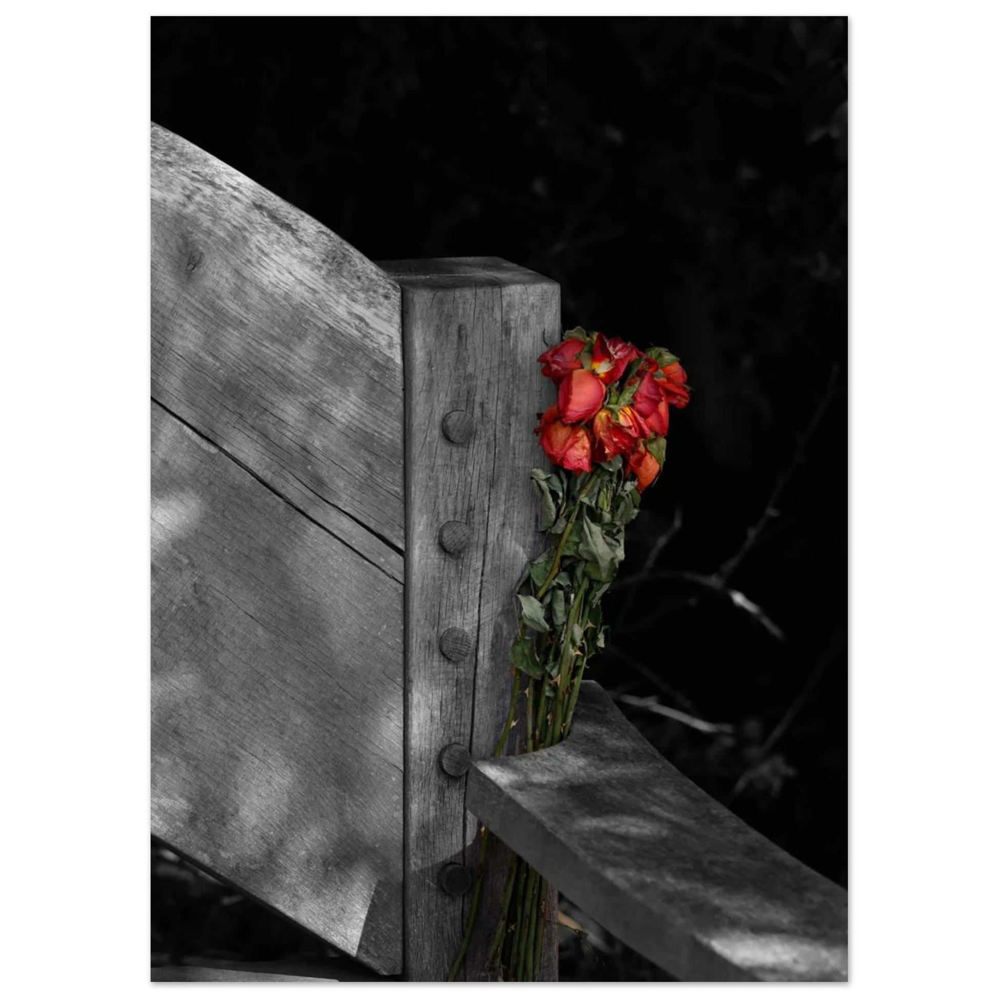 be339411-d47c-4657-af08-e69592856e80