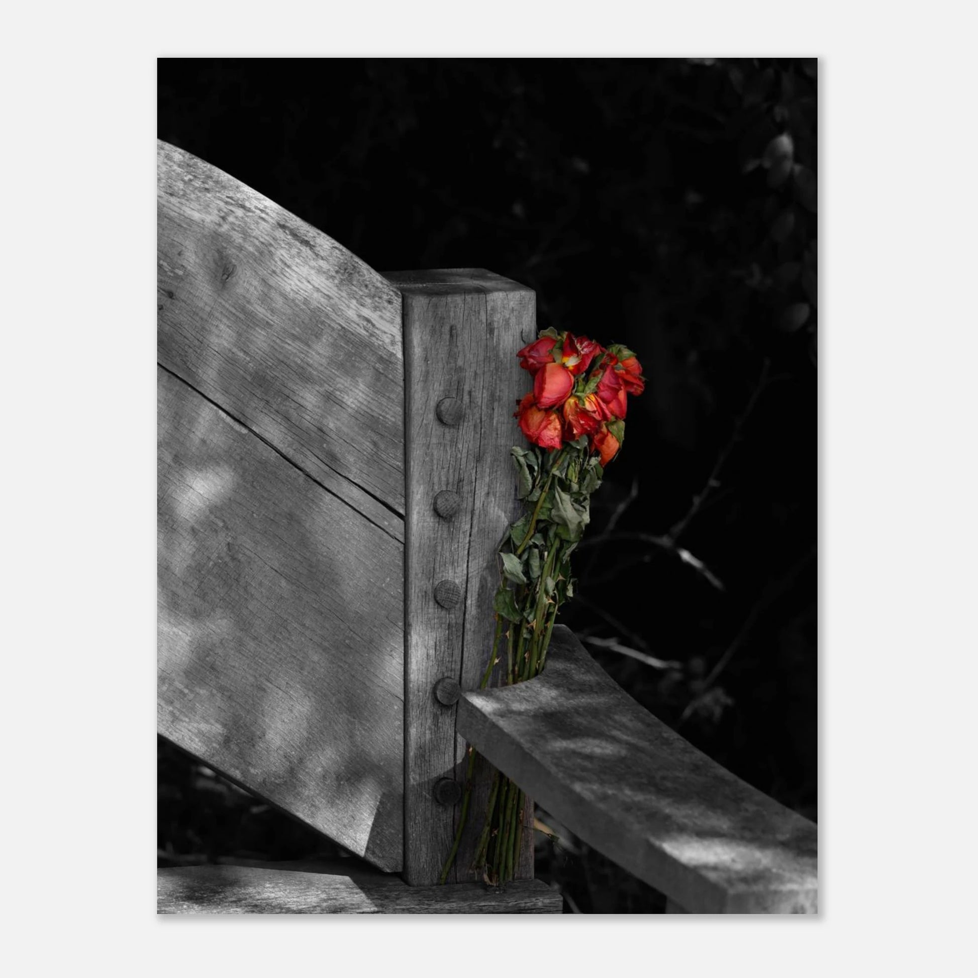 49913e9b-64fc-4f6c-a367-e2cefdfcd7c1